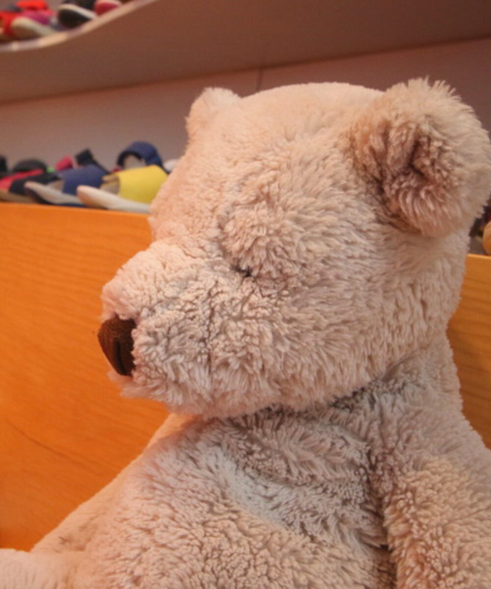 lollipop-bear-600